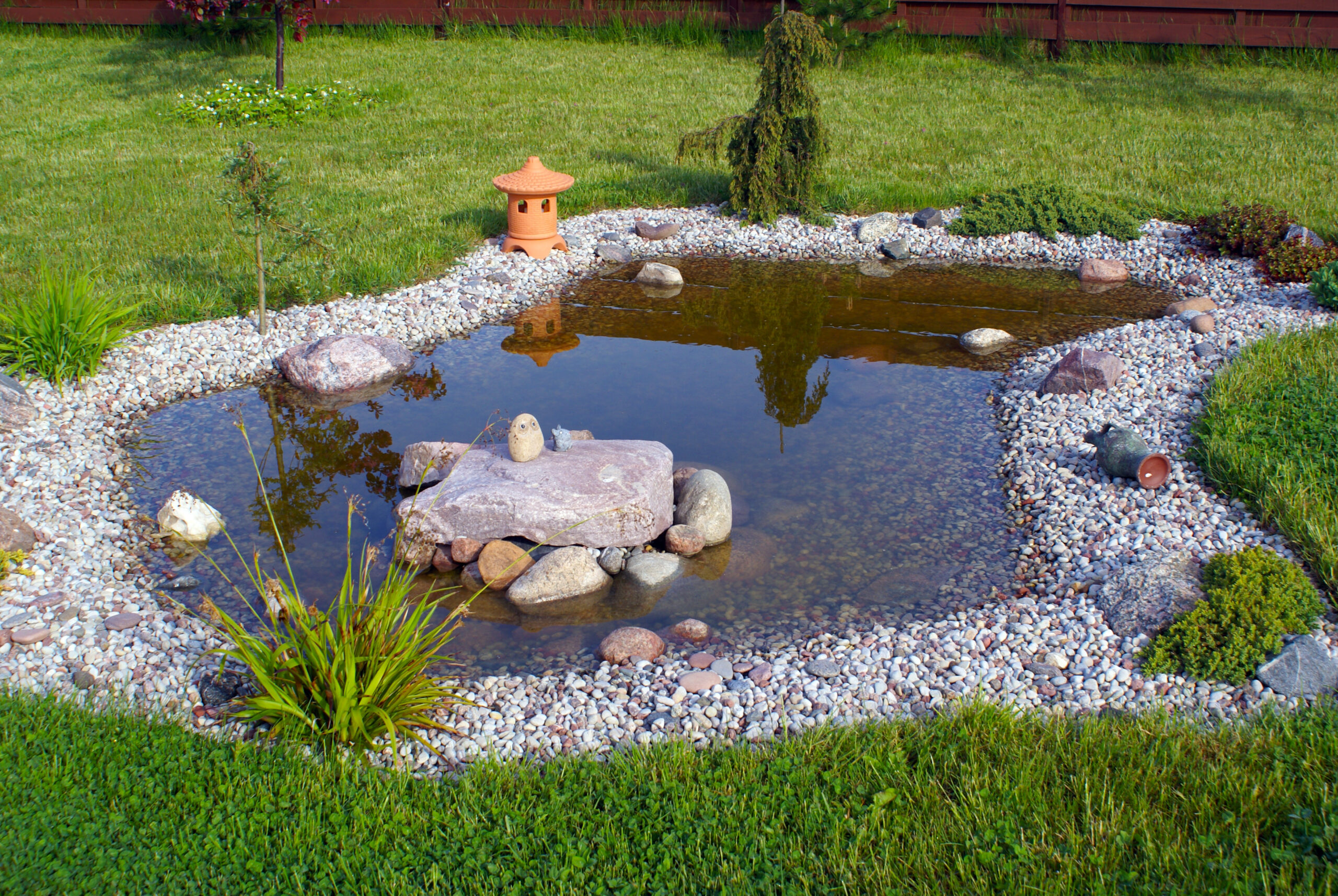 Small Garden Pond
